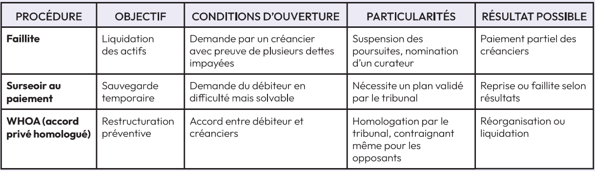 Procédures d'insolvabilité : options et limites
